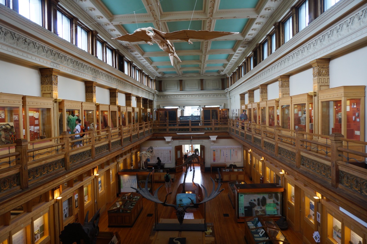 365(VIP)英国上市公司