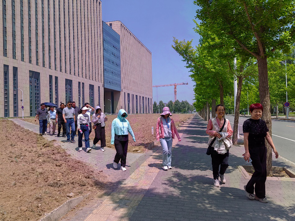 365(VIP)英国上市公司