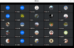 365(VIP)英国上市公司