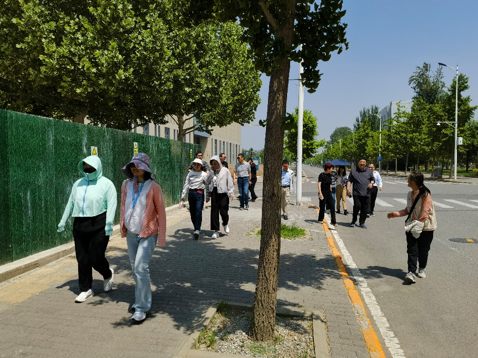 365(VIP)英国上市公司