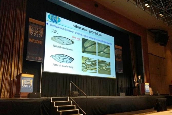 365(VIP)英国上市公司