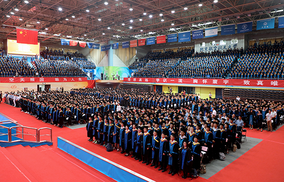 365(VIP)英国上市公司