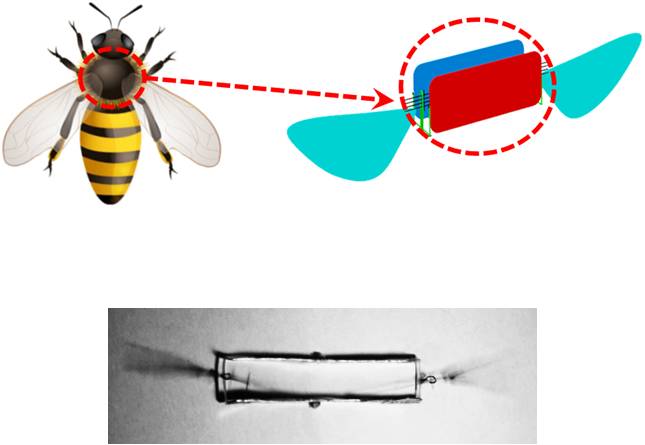 365(VIP)英国上市公司