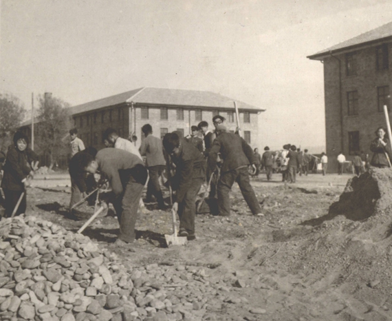 365(VIP)英国上市公司