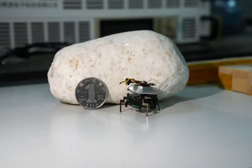 365(VIP)英国上市公司